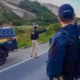 A PRF-BA reporta crescimento nas apreensões de maconha, cocaína e munições.