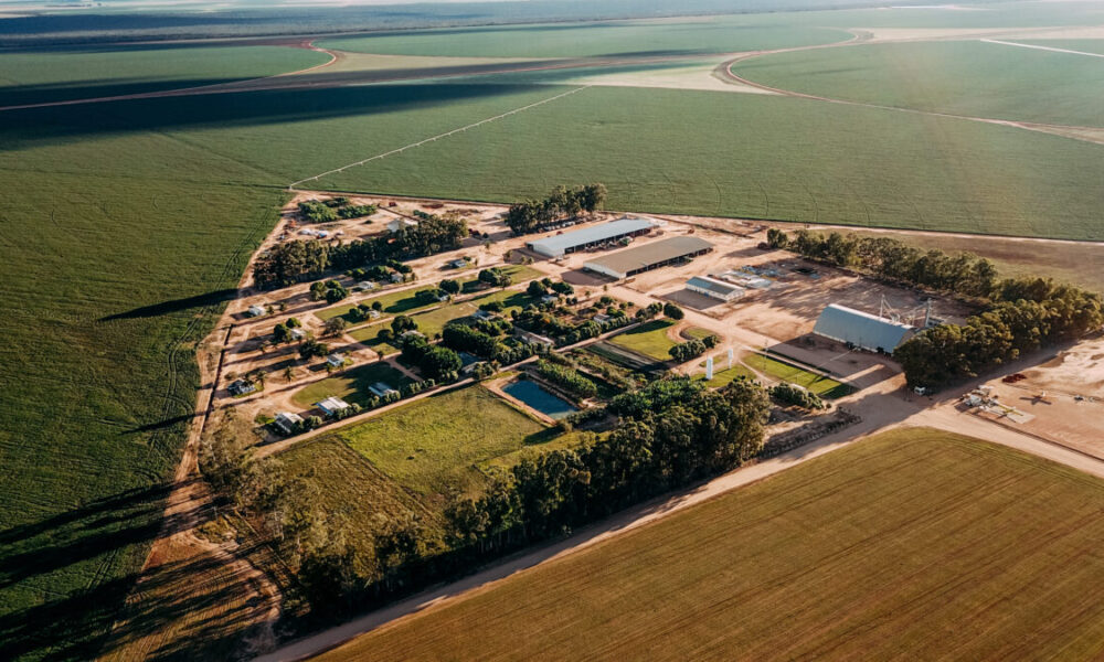 Proprietário de uma das principais empresas do agronegócio na Bahia desembolsou R$ 26 milhões para adquirir uma decisão judicial.