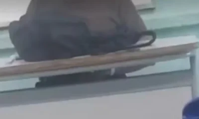 Professor é acusado de se masturbar diante de estudantes em Fortaleza.