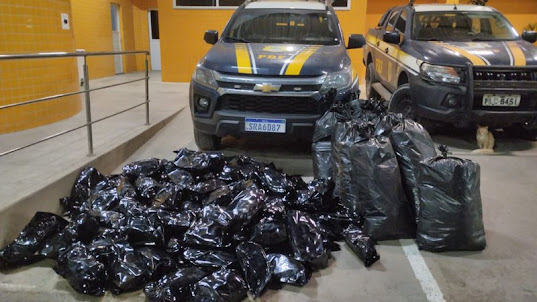 PRF apreende 109 kg de maconha que saiu do Sertão de PE e seguia para a BA – Petrolândia Notícias