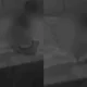 Homem flagrado maltratando idosa na Bahia continua em liberdade.