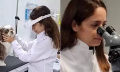 Lente de contato beneficia cachorro com grave lesão ocular, permitindo que ele recupere a visão.