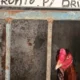 Polícia Civil captura 174 galos em rinha clandestina em Jaguaripe.