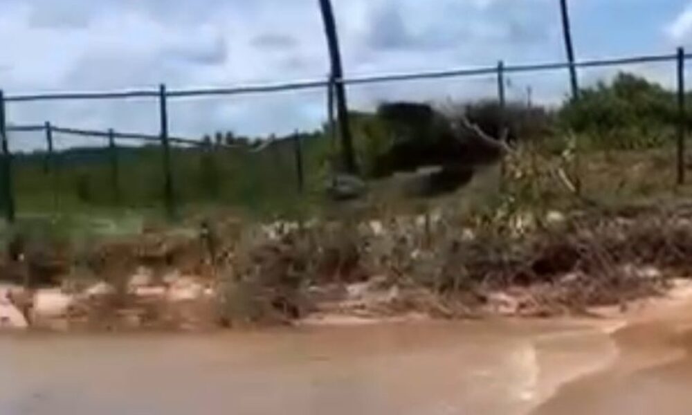 Denúncia revela construção de cerca em área de praia no Litoral Norte da Bahia; prefeitura responde.