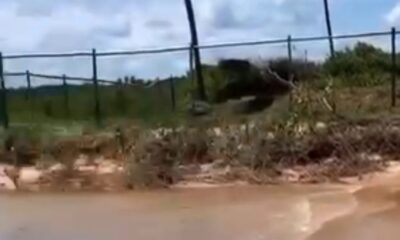 Denúncia revela construção de cerca em área de praia no Litoral Norte da Bahia; prefeitura responde.