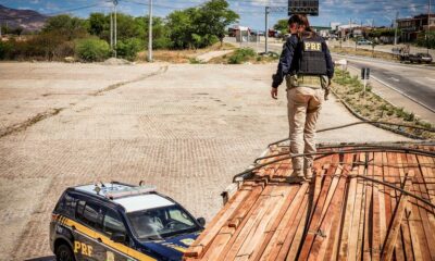 PRF realiza operação de combate a delitos ambientais em Pernambuco