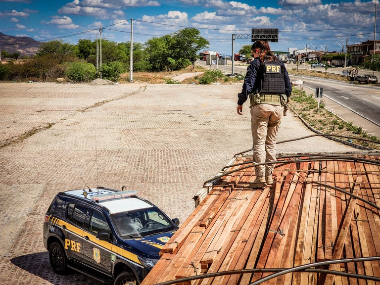 PRF realiza operação de combate a delitos ambientais em Pernambuco