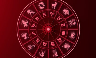 Prognósticos para os 12 signos no dia 11 de dezembro de 2025.